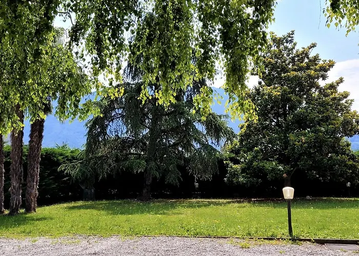 La Betulla