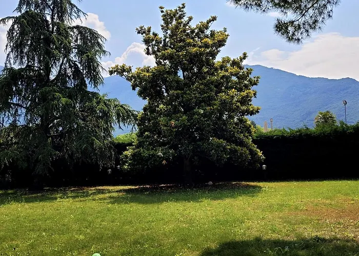 La Betulla