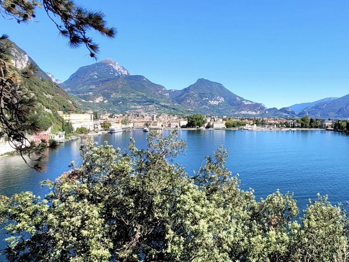 La Betulla Arco